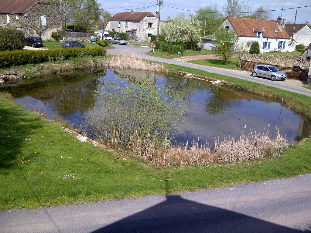 Gite Du Grand Morin Villeneuve-la-Lionne Exterior foto